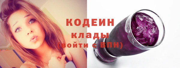 дживик Осинники
