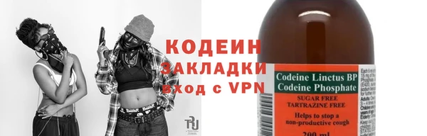спайс Няндома