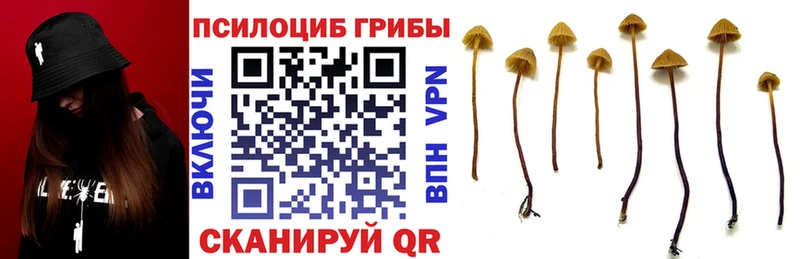 купить   Луза  Псилоцибиновые грибы мухоморы 
